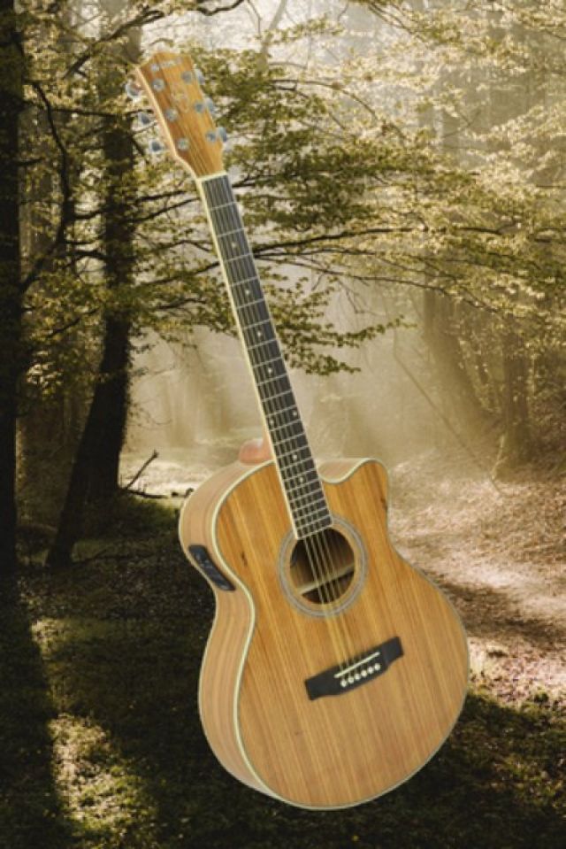 N5Z Native Zebrano electro-acoustic guitar