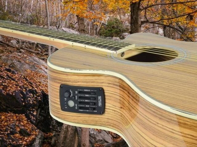 N5Z Native Zebrano electro-acoustic guitar